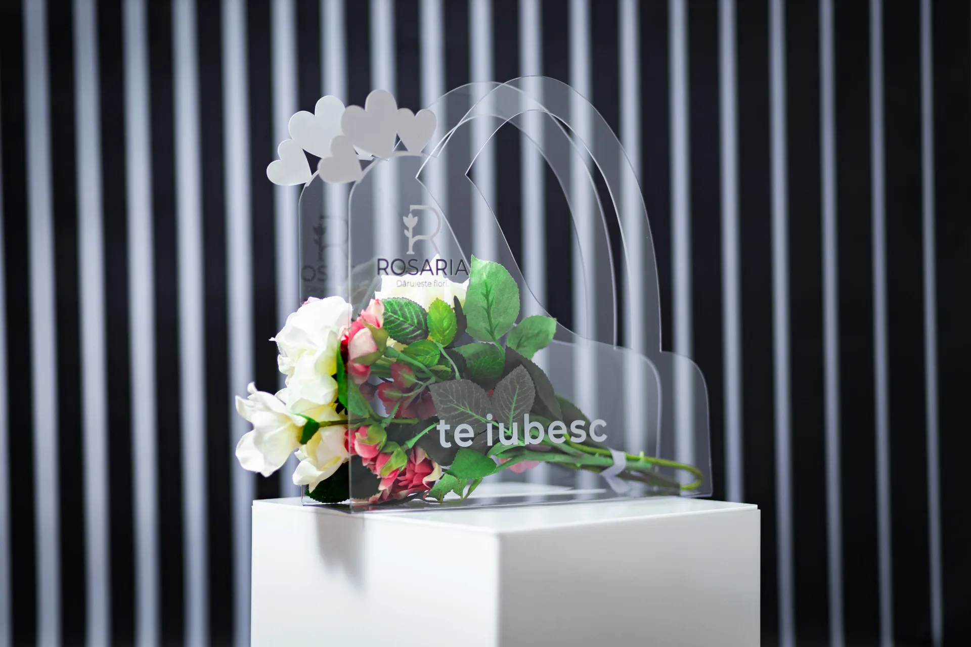 3D3A0122m.webp